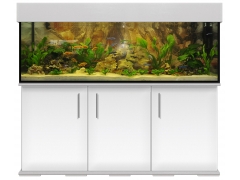 Aquariumkombination modern 150x50x50